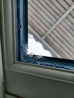 Paramount Builders Inc