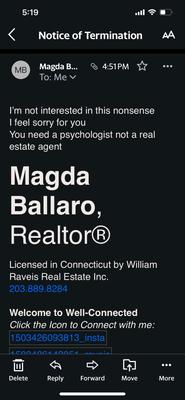 Raveis William Real Estate
