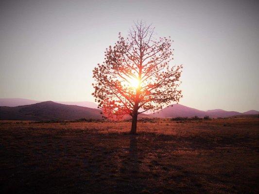 Emerging Horizons - Satori Sanctuary