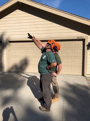 Diamond Arborist Service