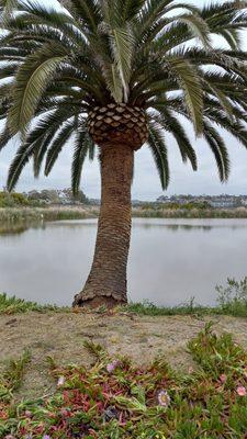 Busy Beaver Tree & Wood Service