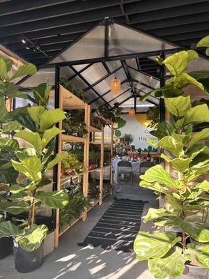 Sun and Soil Plant Parlor