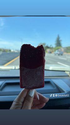 BY2 Bionicos Yahualica