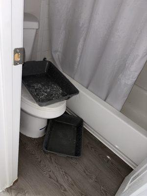 Buckets of "no leak just a little water."