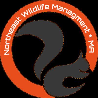 Northeast Wildlife Management