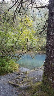 Black Bear Campground- Chugach National Forest