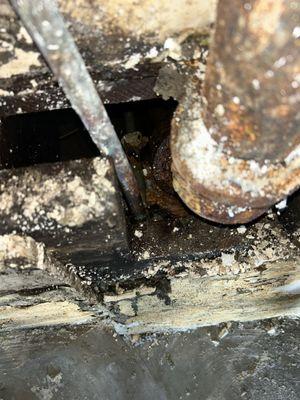 San Diego Leak Detection