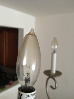 Clean bulb by Buck and Buck managed home