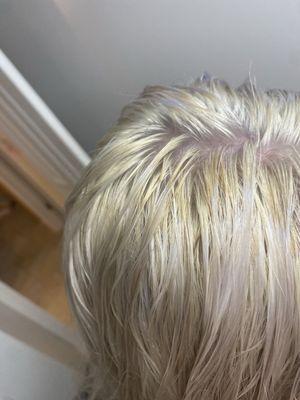 Tropical Hair