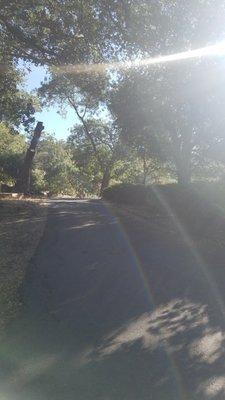 Whispering Pines Retreat