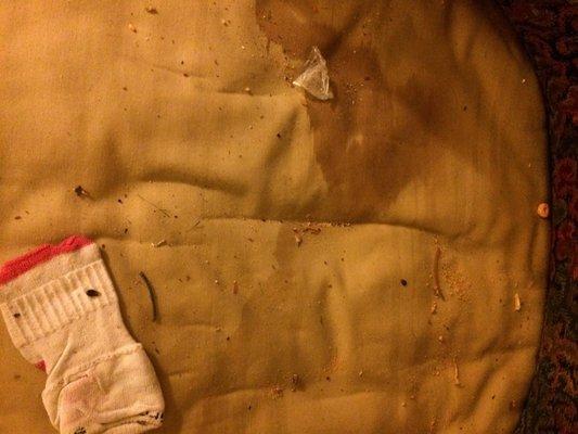 Under the seat cushion. Like the drug bag?