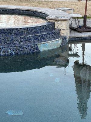 Tiles falling off into the pool. We NEVER had this happen in the three pools we put in our homes over the years - UNBELIEVABLE.