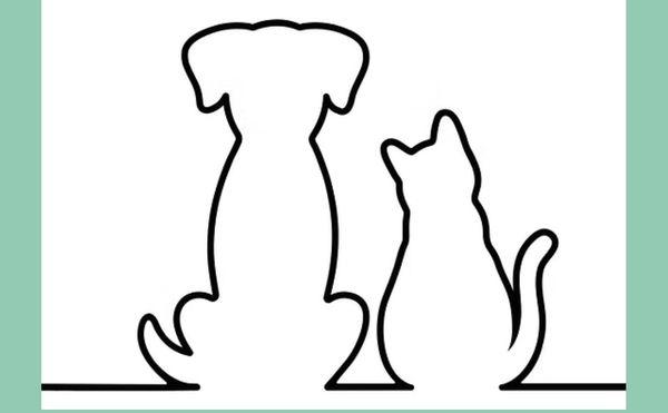 Walk Around Town Atx