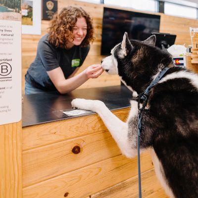 Store Register Counter