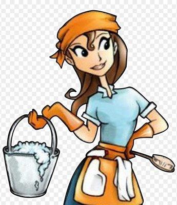 Bri’s Cleaning Company