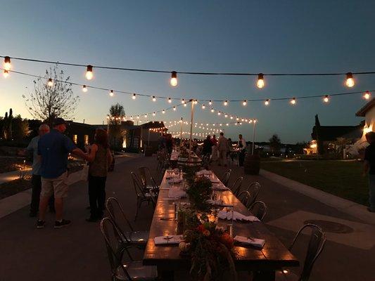 Cicada Lighting & Production