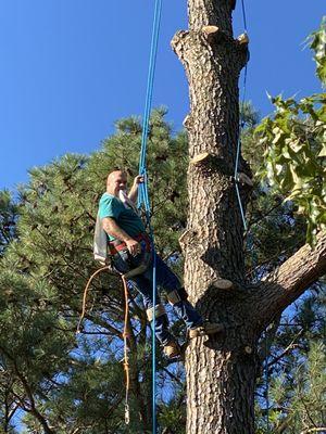 Pete’s Tree Service