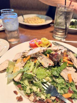 Grilled chicken salad