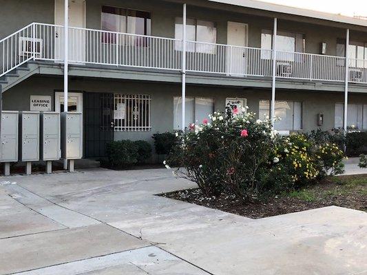 Orange Lemon Ltd Partnership