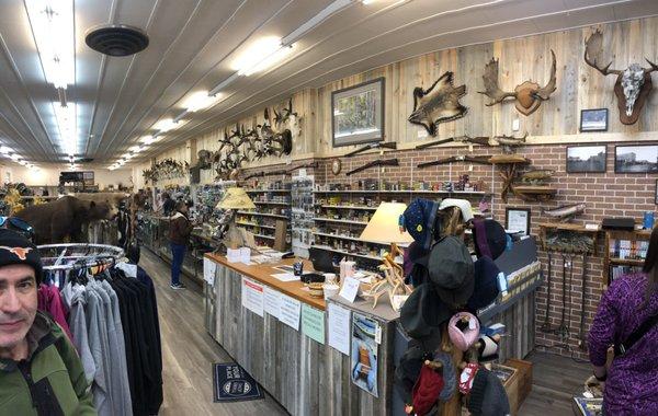 Koyoty Sports & Trophy Room Taxidermy