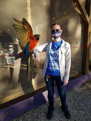 Get a picture with a parrot!