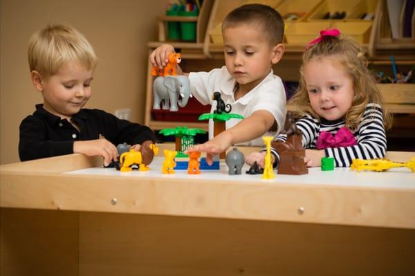 New Einsteins Academy