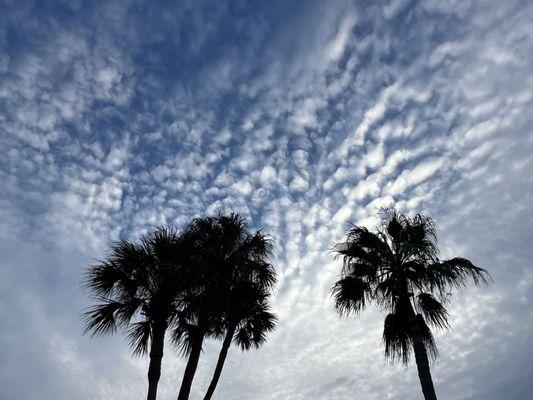 Whispering Palms Mobile Village