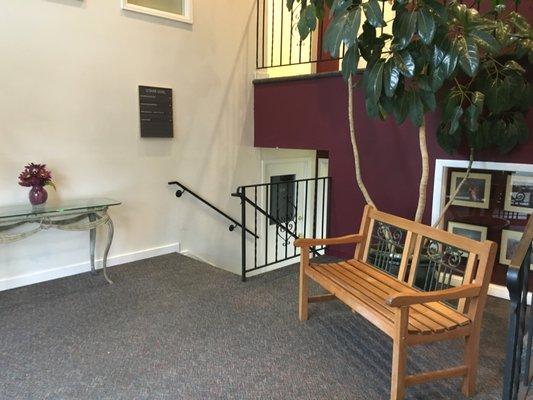 Birchtree Beginnings