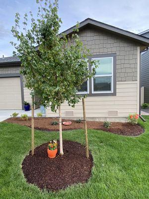 Judy's Enchanted Garden