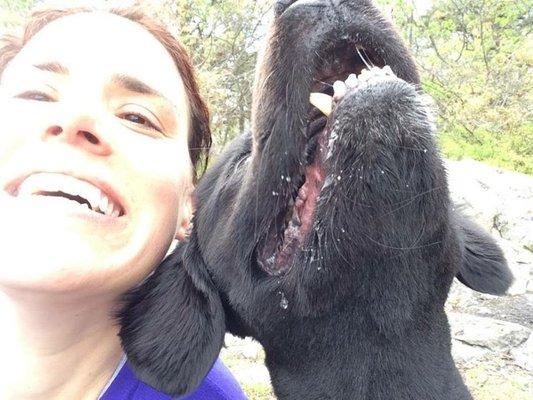 Jen B Dog Training