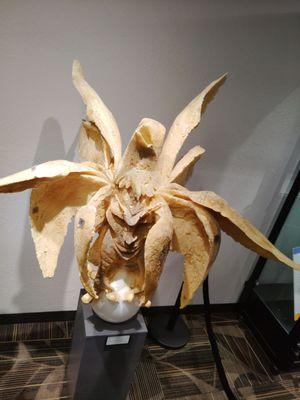 Reno/Tahoe International Airport (RNO)