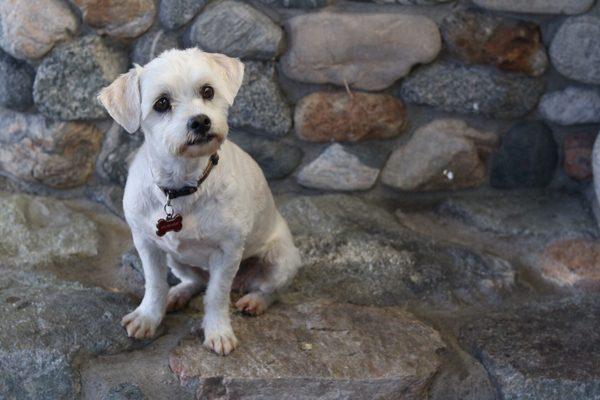 Dakota Cheyenne Photography