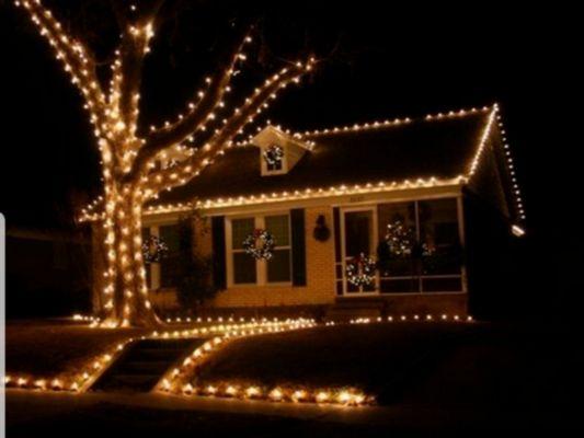 *SPECIAL* 20% OFF Christmas Lights Installation. See website for details. www.yeahthatyard.com