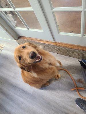 After picture. Bath and brush light time