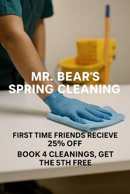 Mr. Bear's Spring Cleaning