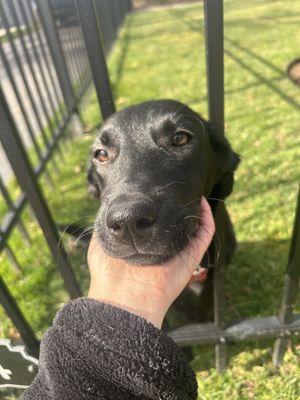 Katies Creature Care