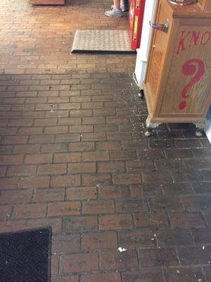 The mold growing on the floor