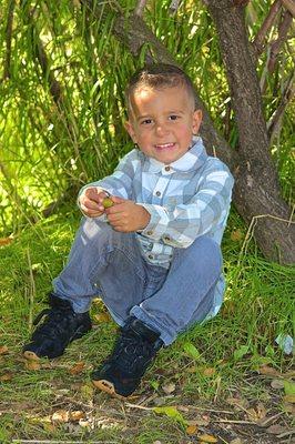 Timeless Treasures Studios