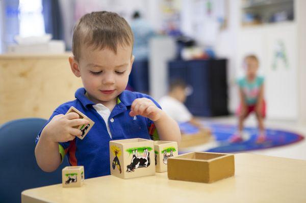 Reston Montessori School