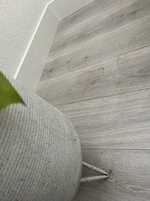 Ritiele's Cleaning Service