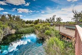 Ash Meadows Must see!