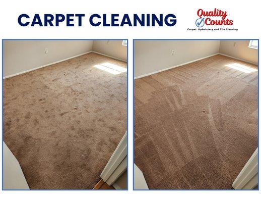 Steam clean carpet cleaning in Sarasota