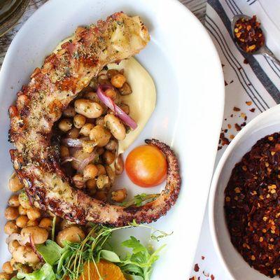 Award winning octopus