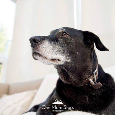 One More Stop Photography