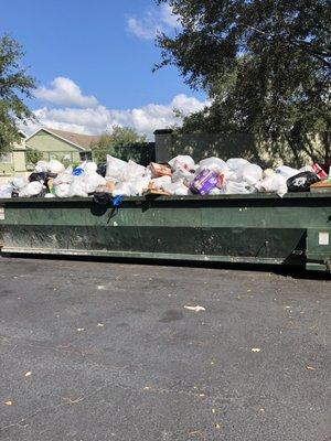 Lory of Braden River