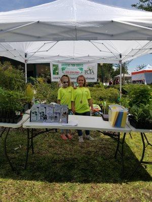 Andrews Tree Service