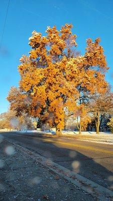 Calhoun Community High School