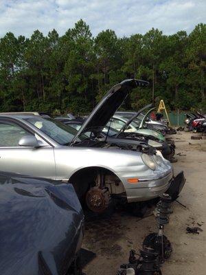 Row after row waiting to be explored......