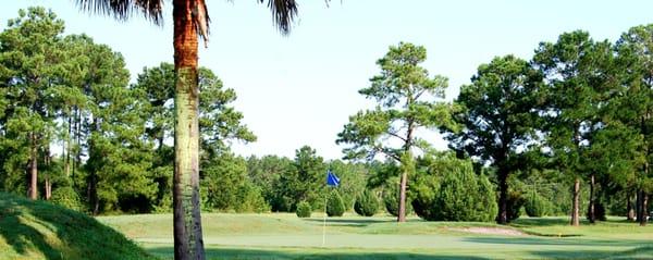 Folkston Golf Club