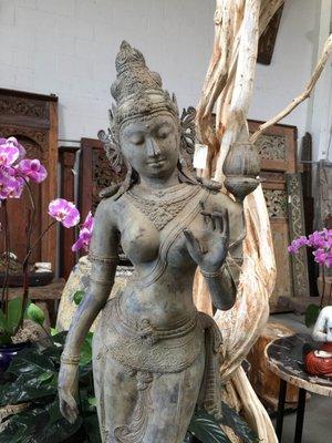 Gardensia Archipelago Designs